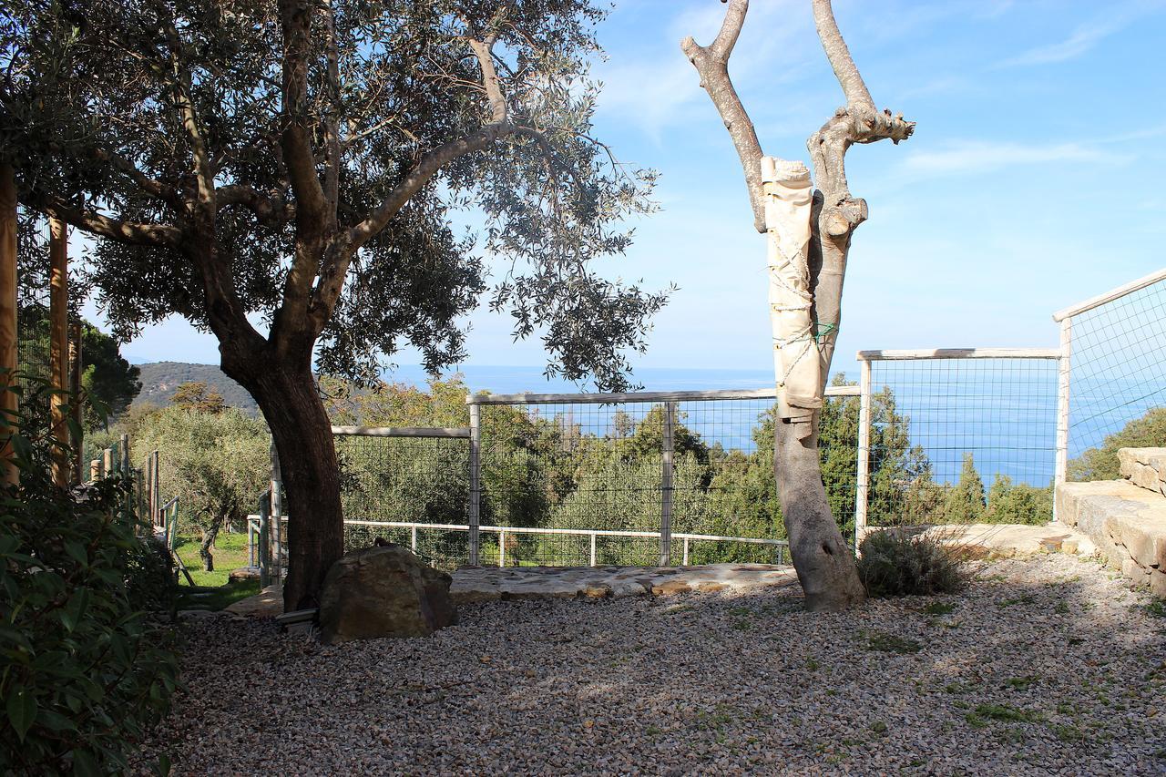 Country House Tagliaferro Marciana Marina (Isola d'Elba) Exterior foto